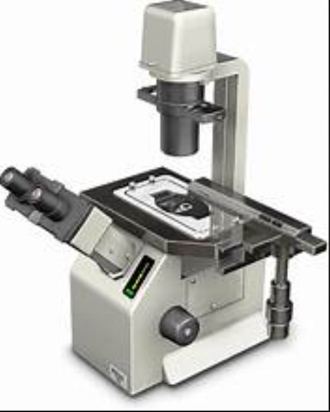 الصورة غير متوفرة حاليا