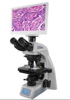 الصورة غير متوفرة حاليا