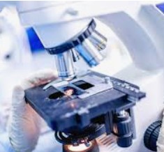 الصورة غير متوفرة حاليا