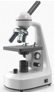 الصورة غير متوفرة حاليا