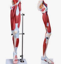 الصورة غير متوفرة حاليا