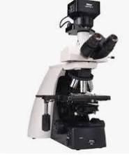 الصورة غير متوفرة حاليا