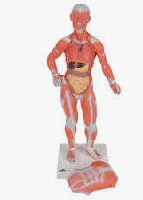 الصورة غير متوفرة حاليا