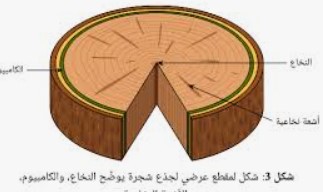 الصورة غير متوفرة حاليا