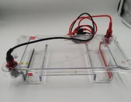 الصورة غير متوفرة حاليا